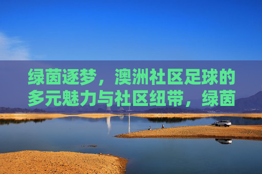 绿茵逐梦，澳洲社区足球的多元魅力与社区纽带，绿茵逐梦，澳洲社区足球的多元魅力与社区纽带