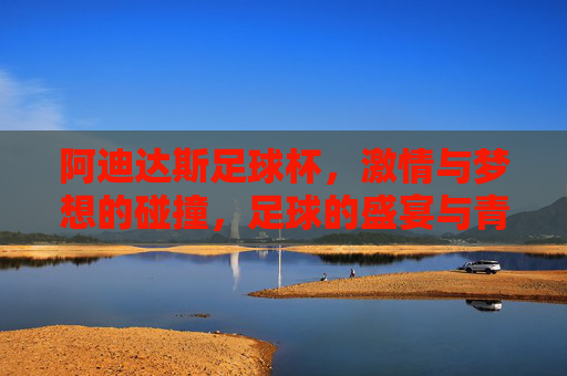 阿迪达斯足球杯，激情与梦想的碰撞，足球的盛宴与青春的共鸣，阿迪达斯足球杯，激情与梦想的碰撞，足球盛宴与青春的共鸣