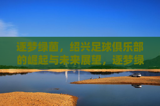 逐梦绿茵,绍兴足球俱乐部的崛起与未来展望,逐梦绿茵,绍兴足球俱乐部的崛起与未来展望