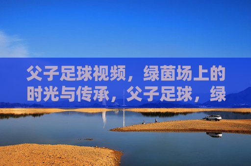 父子足球视频,绿茵场上的时光与传承,父子足球,绿茵场上的时光与传承