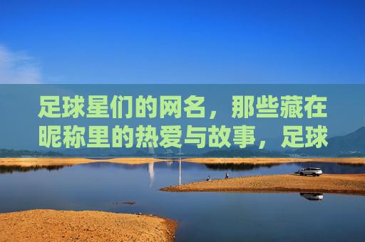足球星们的网名,那些藏在昵称里的热爱与故事,足球星们的网名,那些藏在昵称里的热爱与故事