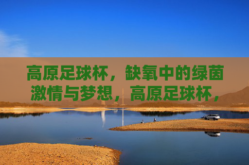 高原足球杯，缺氧中的绿茵激情与梦想，高原足球杯，缺氧中的绿茵激情与梦想