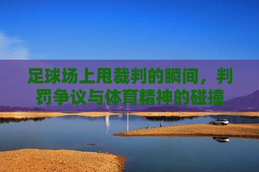足球场上甩裁判的瞬间,判罚争议与体育精神的碰撞
