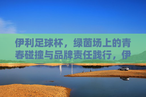 伊利足球杯,绿茵场上的青春碰撞与品牌责任践行,伊利足球杯,绿茵场上的青春碰撞与品牌责任践行