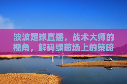 波波足球直播，战术大师的视角，解码绿茵场上的策略与激情，波波足球直播，战术大师的视角，解码绿茵场上的策略与激情