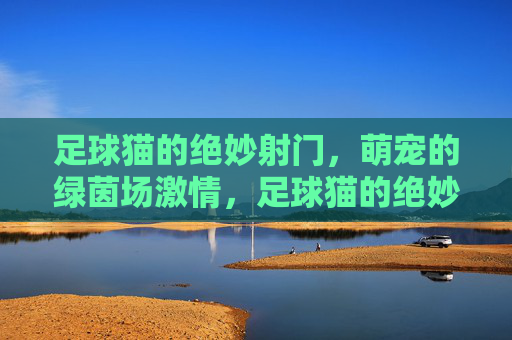 足球猫的绝妙射门,萌宠的绿茵场激情,足球猫的绝妙射门,萌宠的绿茵场激情