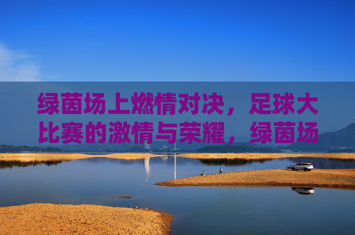 绿茵场上燃情对决,足球大比赛的激情与荣耀,绿茵场上燃情对决,足球大比赛的激情与荣耀