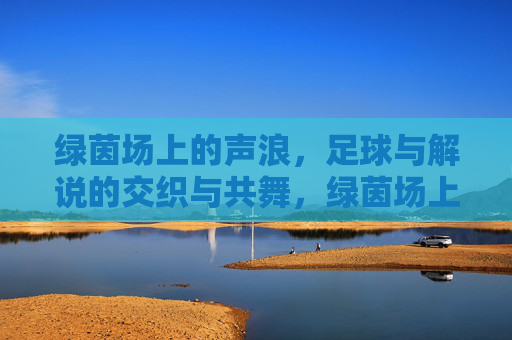 绿茵场上的声浪,足球与解说的交织与共舞,绿茵场上的声浪,足球与解说的交织与共舞