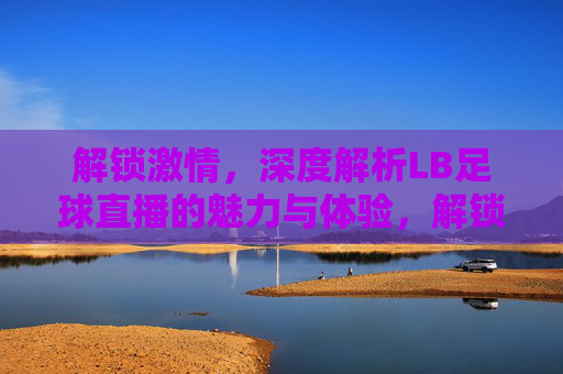 解锁激情，深度解析LB足球直播的魅力与体验，解锁激情，深度解析LB足球直播的魅力与体验
