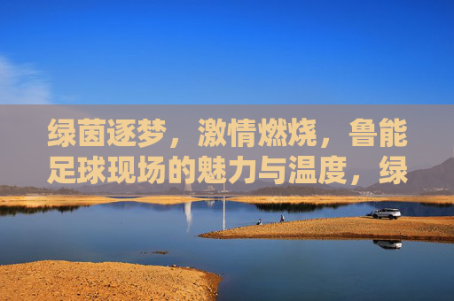 绿茵逐梦,激情燃烧,鲁能足球现场的魅力与温度,绿茵逐梦,激情燃烧,鲁能足球现场的魅力与温度