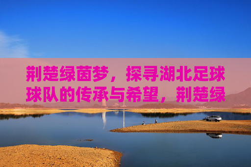 荆楚绿茵梦,探寻湖北足球球队的传承与希望,荆楚绿茵梦,探寻湖北足球球队的传承与希望
