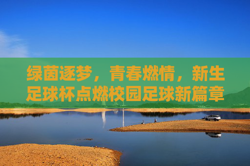 绿茵逐梦，青春燃情，新生足球杯点燃校园足球新篇章，绿茵逐梦，青春燃情，新生足球杯点燃校园足球新篇章