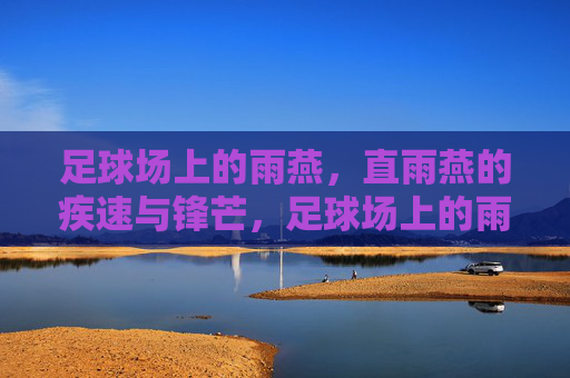 足球场上的雨燕,直雨燕的疾速与锋芒,足球场上的雨燕,直雨燕的疾速与锋芒