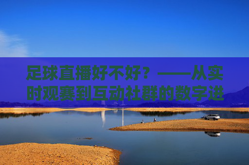 足球直播好不好？——从实时观赛到互动社群的数字进化，足球直播好不好？——从实时观赛到互动社群的数字进化