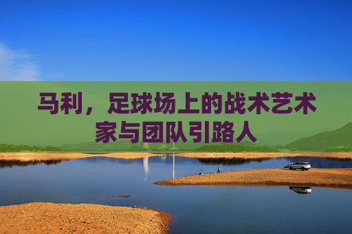 马利，足球场上的战术艺术家与团队引路人