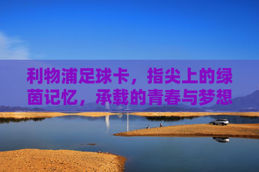 利物浦足球卡，指尖上的绿茵记忆，承载的青春与梦想，利物浦足球卡，指尖上的绿茵记忆，承载的青春与梦想
