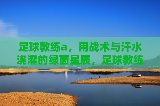 足球教练a，用战术与汗水浇灌的绿茵星辰，足球教练a，用战术与汗水浇灌的绿茵星辰