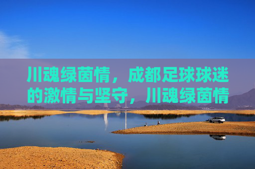 川魂绿茵情,成都足球球迷的激情与坚守,川魂绿茵情,成都足球球迷的激情与坚守