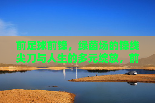 前足球前锋,绿茵场的锋线尖刀与人生的多元绽放,前足球前锋,绿茵尖刀与人生的多元绽放