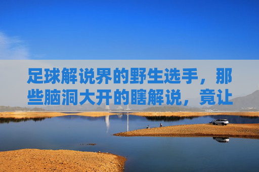 足球解说界的野生选手，那些脑洞大开的瞎解说，竟让看球变成最真实的狂欢，足球解说界的野生选手，那些脑洞大开的瞎解说，竟让看球变成最真实的狂欢