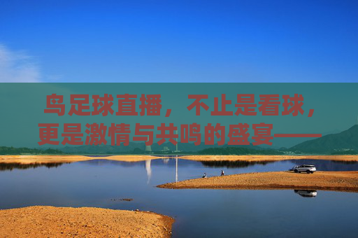 鸟足球直播,不止是看球,更是激情与共鸣的盛宴——解码足球爱好者的数字看台,鸟足球直播,不止是看球,更是激情与共鸣的盛宴——解码足球爱好者的数字看台