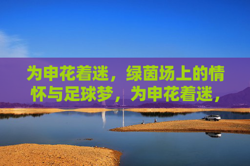 为申花着迷，绿茵场上的情怀与足球梦，为申花着迷，绿茵场上的情怀与足球梦