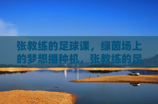 张教练的足球课，绿茵场上的梦想播种机，张教练的足球课，绿茵场上的梦想播种机