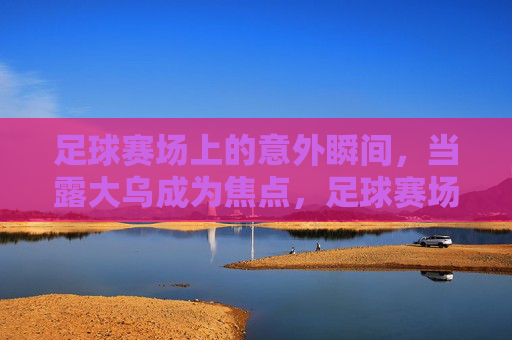 足球赛场上的意外瞬间,当露大乌成为焦点,足球赛场上的意外瞬间,当露大乌成为焦点