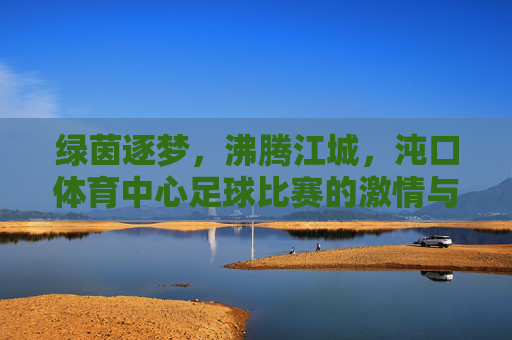 绿茵逐梦，沸腾江城，沌口体育中心足球比赛的激情与活力