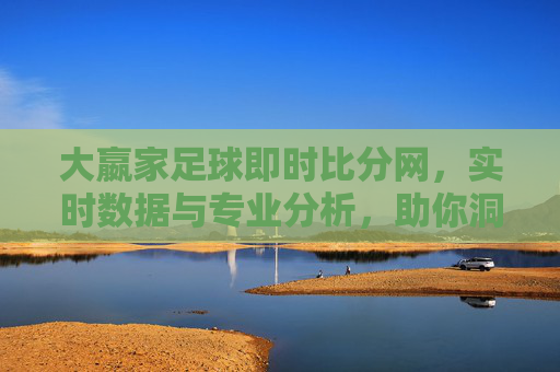 大嬴家足球即时比分网，实时数据与专业分析，助你洞悉足球赛事脉搏，大嬴家足球即时比分网，实时数据与专业分析，助你洞悉足球赛事脉搏