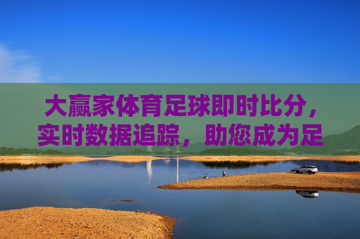 大赢家体育足球即时比分，实时数据追踪，助您成为足球赛事的大赢家