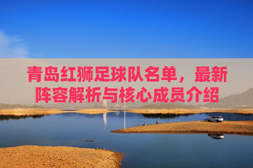 青岛红狮足球队名单,最新阵容解析与核心成员介绍