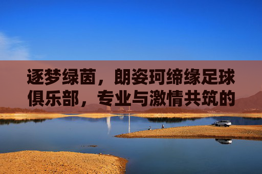 逐梦绿茵，朗姿珂缔缘足球俱乐部，专业与激情共筑的足球梦想家园，逐梦绿茵，朗姿珂缔缘足球俱乐部，专业与激情共筑的足球梦想家园