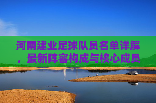 河南建业足球队员名单详解，最新阵容构成与核心成员分析