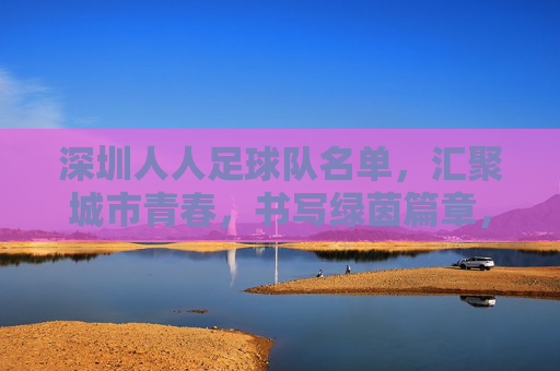 深圳人人足球队名单,汇聚城市青春,书写绿茵篇章,深圳人人足球队名单,汇聚城市青春,书写绿茵篇章