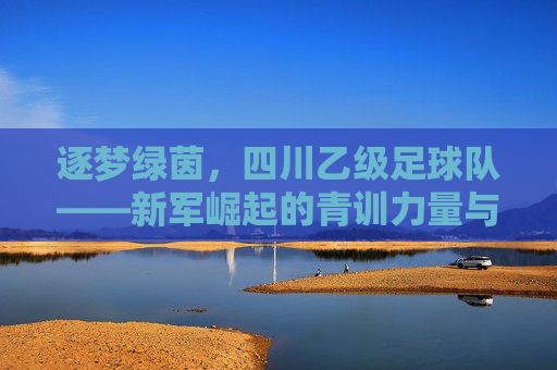 逐梦绿茵,四川乙级足球队——新军崛起的青训力量与未来希望,逐梦绿茵,四川乙级足球队——新军崛起的青训力量与未来希望