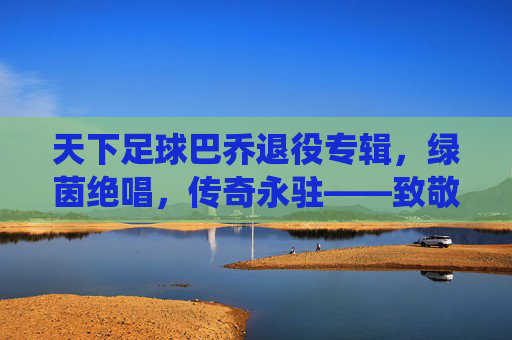 天下足球巴乔退役专辑，绿茵绝唱，传奇永驻——致敬足球史上最伟大的艺术家