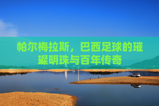 帕尔梅拉斯,巴西足球的璀璨明珠与百年传奇