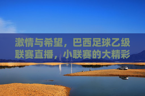 激情与希望,巴西足球乙级联赛直播,小联赛的大精彩与未来图景