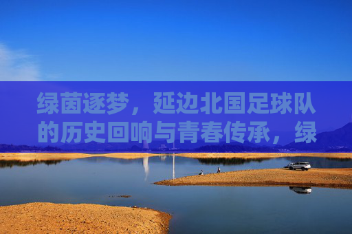 绿茵逐梦，延边北国足球队的历史回响与青春传承，绿茵逐梦，延边北国足球队的历史回响与青春传承
