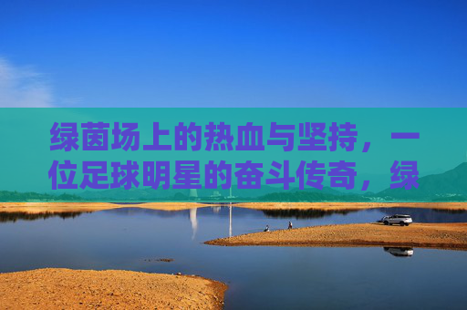 绿茵场上的热血与坚持，一位足球明星的奋斗传奇，绿茵场上的热血与坚持，一位足球明星的奋斗传奇