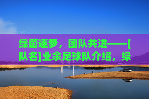 绿茵逐梦，团队共进——[队名]业余足球队介绍，绿茵逐梦，团队共进——[队名]业余足球队介绍