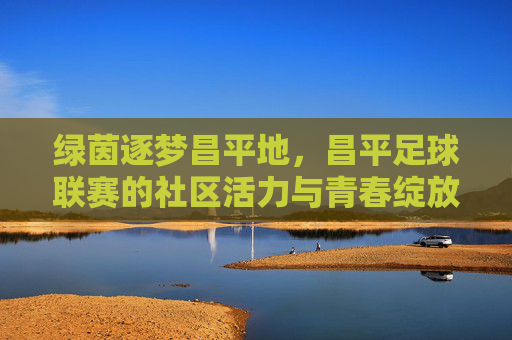 绿茵逐梦昌平地，昌平足球联赛的社区活力与青春绽放