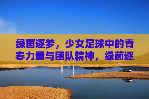 绿茵逐梦,少女足球中的青春力量与团队精神,绿茵逐梦,少女足球中的青春力量与团队精神
