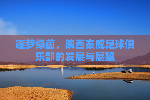 逐梦绿茵,陕西秦威足球俱乐部的发展与展望