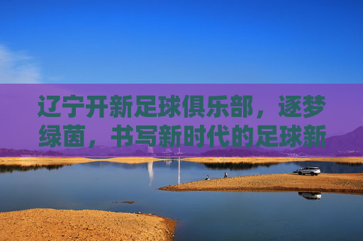 辽宁开新足球俱乐部,逐梦绿茵,书写新时代的足球新篇章