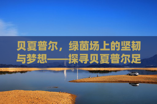 贝夏普尔，绿茵场上的坚韧与梦想——探寻贝夏普尔足球俱乐部的历史与精神，贝夏普尔，绿茵场上的坚韧与梦想——探寻贝夏普尔足球俱乐部的历史与精神