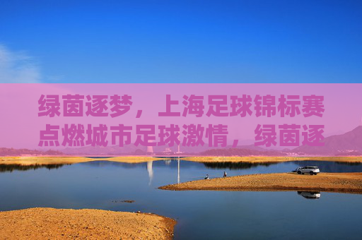 绿茵逐梦，上海足球锦标赛点燃城市足球激情，绿茵逐梦，上海足球锦标赛点燃城市足球激情