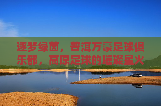 逐梦绿茵,普洱万豪足球俱乐部,高原足球的璀璨星火与未来展望,逐梦绿茵,普洱万豪足球俱乐部,高原足球的璀璨星火与未来展望