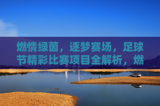 燃情绿茵，逐梦赛场，足球节精彩比赛项目全解析，燃情绿茵，逐梦赛场，足球节精彩比赛项目全解析
